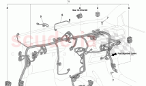 IP Harness