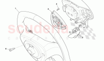 Steering Wheel Assembly