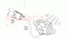 Exterior Tailgate Release Switch