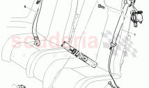 seat belts