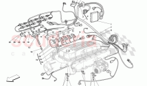 Injection - Ignition Device