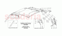 Internal elements body -Upper zone-