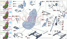 FRONT SEAT - SEAT BELTS, GUIDES AND ADJUSTMENT