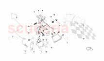 Regulation Of Forces Refraining