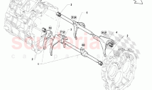 Selector Fork