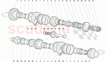 Driven Shaft