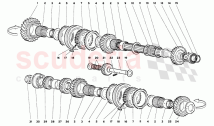 Driven Shaft