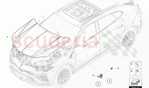 BONNET