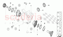Rear Differential Assembly