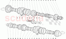 Driven Shaft