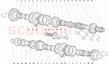 Driven Shaft