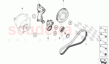 Alternator Distribution