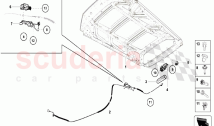 Rear Hood 2