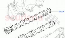 Camshaft(4.4L DOHC DITC V8 Diesel)((V)FROMBA000001)