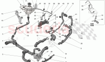 COOLING SYSTEM: NOURICE AND LINES