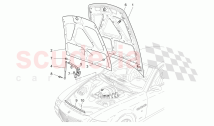 FRONT LID