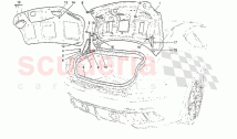 Rear Lid