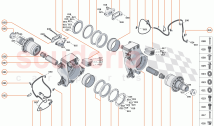 17 - SUSPENSION - 17.6 - UPRIGHTS REAR