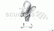 Spirit of Ecstasy