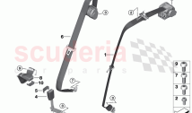 Safety belt rear