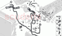 Cooling system coolant hoses