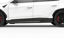 Carbon Outer Door Trim
