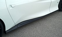 Side Panels Set in Carbon