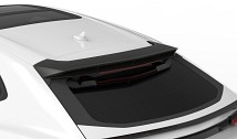 Carbon Roof Spoiler