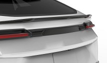 Carbon Rear Symbol Holder