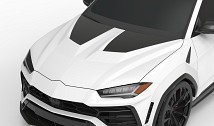 Carbon Race Hood