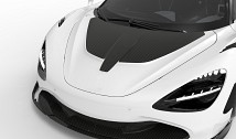 Carbon Race Hood