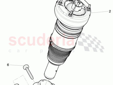 Photo of AIR SPRING…