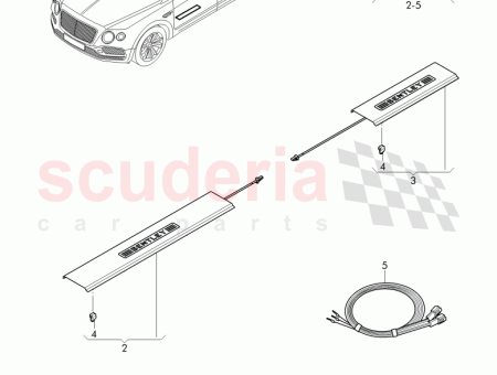 Photo of harness…