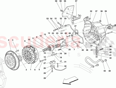 Photo of SCREW…