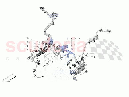 Photo of SCREW…