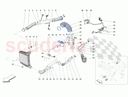 Photo of SCREW…