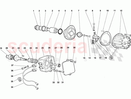 Photo of STRAP…