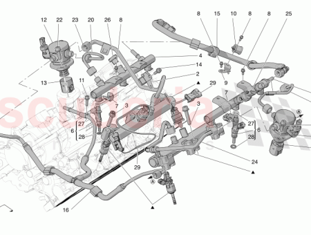 Photo of SCREW…