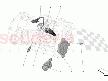 Photo of SCREW…
