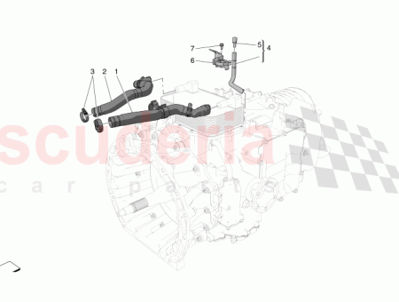 Photo of SCREW…