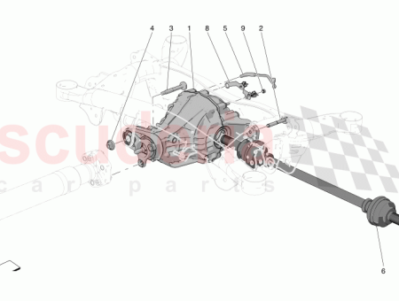 Photo of SCREW…