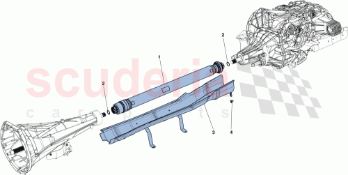Part Diagram for Ferrari 309458