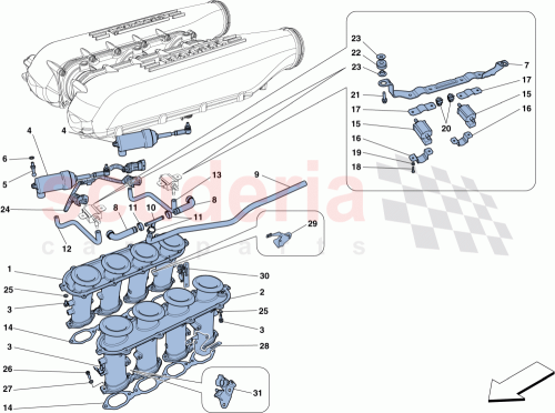 Part Diagram for Ferrari 255925